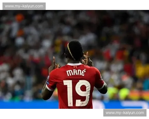 开云体育球迷文化：在热爱中相遇，在互动中成长